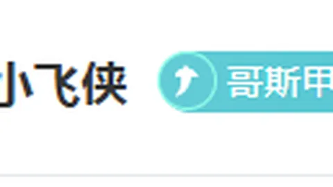 申花1-2蔚山逆转失利，马莱莱错失良机