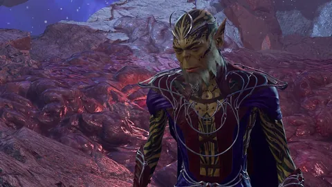 澳超3连冠分析：王牌专家深度解析前区十码