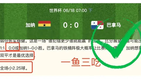 世界杯克罗地亚队表现深度解读亚博体育下载：8胜5负，隐忧数据揭示真相